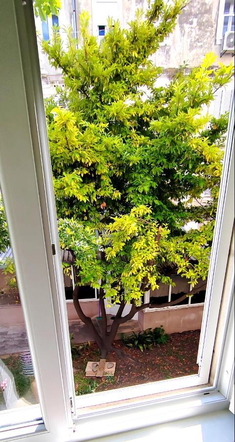 Apartman Apartman Selve *
