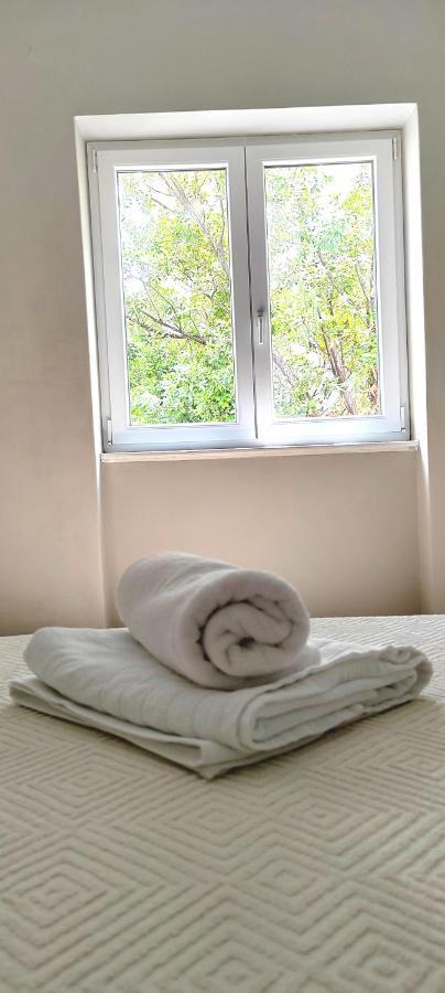 Apartman Selve
